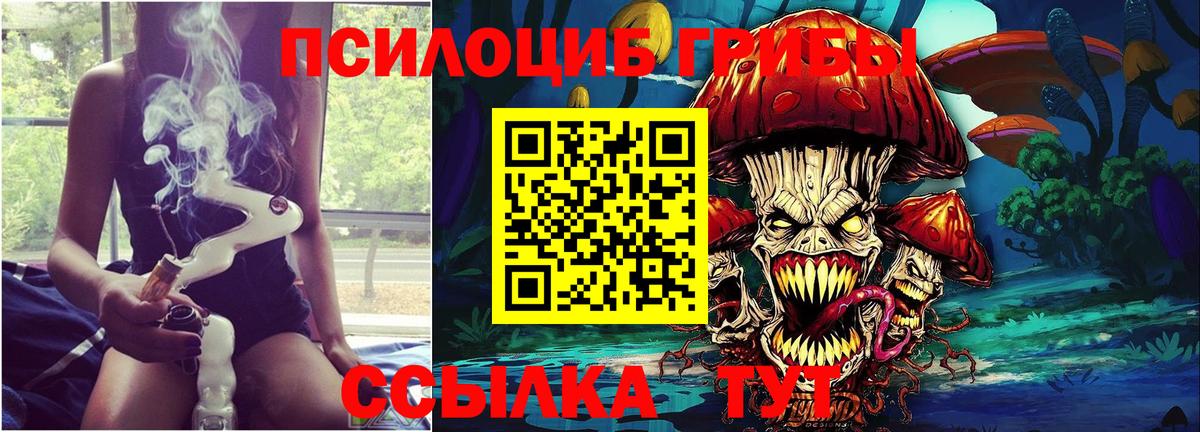Избербаш  Галлюциногенные грибы мухоморы  Вход с VPN 