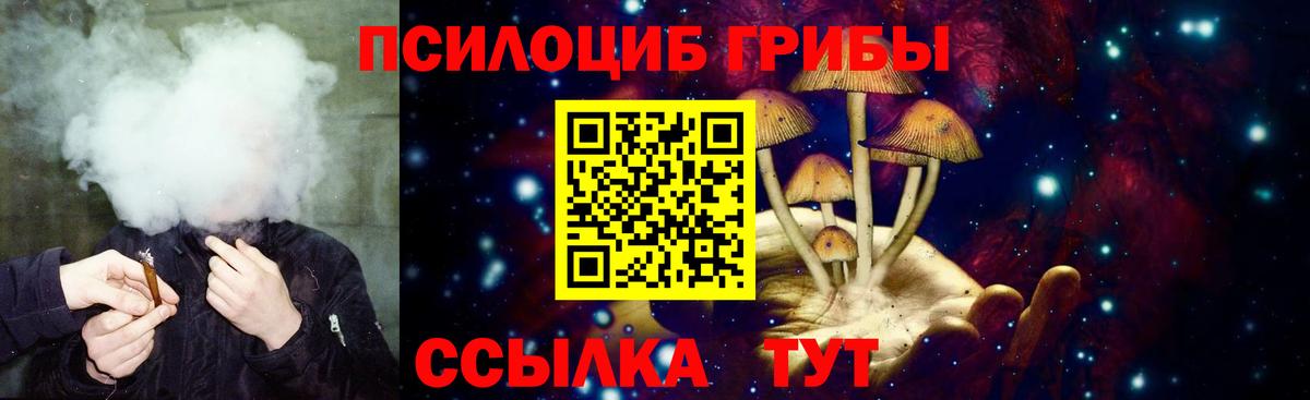 Галлюциногенные грибы Psilocybine cubensis Избербаш
